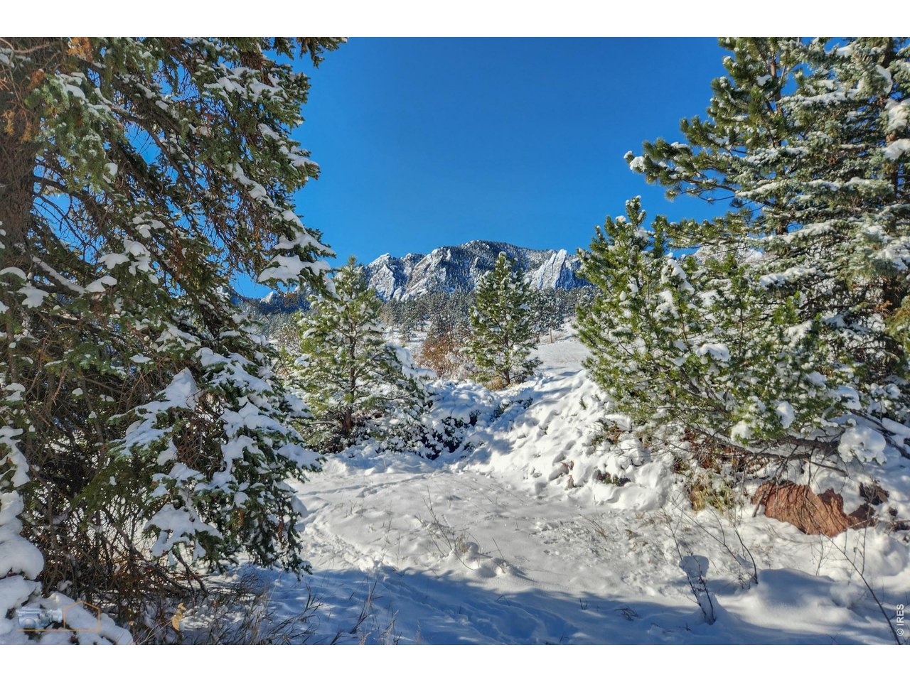 Property Photo 14 