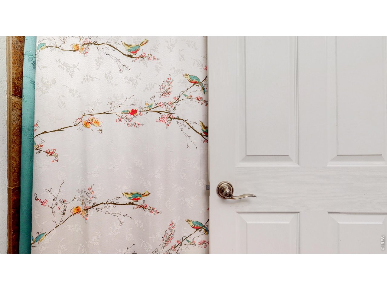 1509 La Jara St Loveland, Colorado 80538 Colorado ResidentialDetached