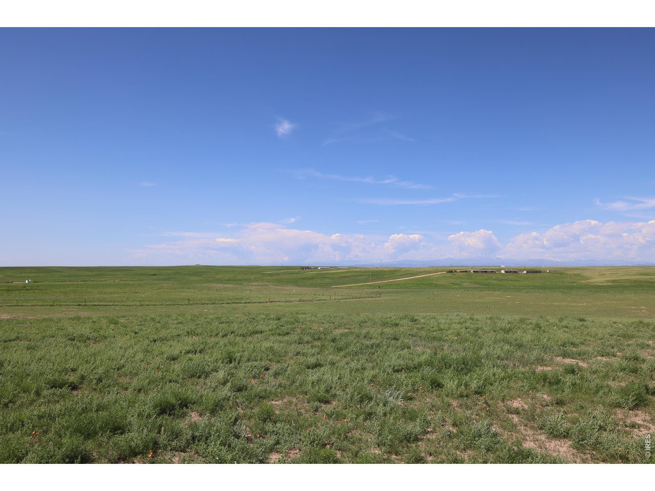 0 County Road 114 Nunn, Colorado 80648 Colorado Vacant Land/Lots