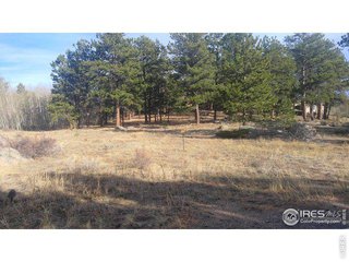 1 Fox Acres Dr W Red Feather Lakes, CO 80545