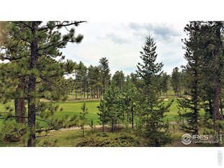 2945 Fox Acres Dr E Red Feather Lakes, CO 80545
