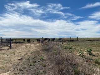 (TBD) Weld County Road 93 Tract 1 Orchard, CO 80649
