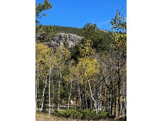 246 Tahosa Park South Rd Allenspark, CO 80510