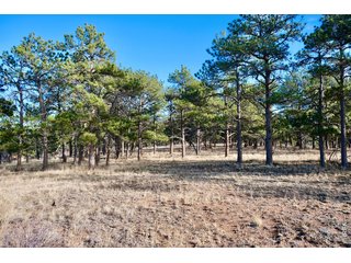 0 Walno Ave Livermore, CO 80536