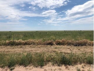 (TBD) Lot I County Road 43 and 96 Pierce, CO 80650