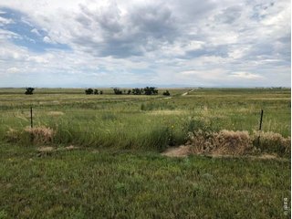 (TBD) Lot J County Road 43 and 96 Pierce, CO 80650