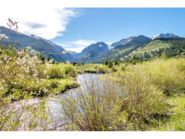 Property Photo 11 Make Estes Park home and enjoy Rocky Mountain National Park everyday! 