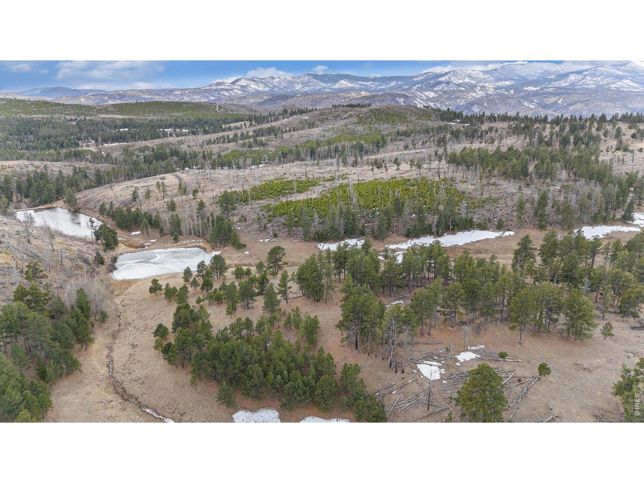 3 natural springs feed the property