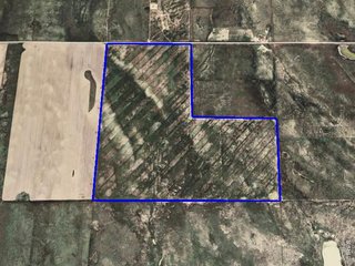 0 CR 74 Briggsdale, CO 80611