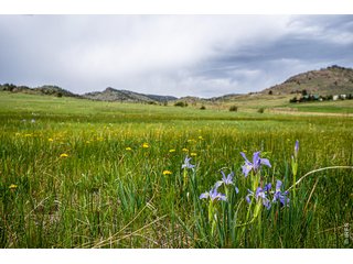 816 Meadow Way Livermore, CO 80536