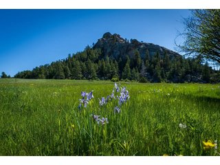 (TBD) Mountain Pony Rd Livermore, CO 80536