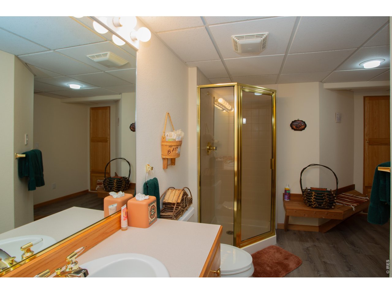 Property Photo 30 Convenient basement bath