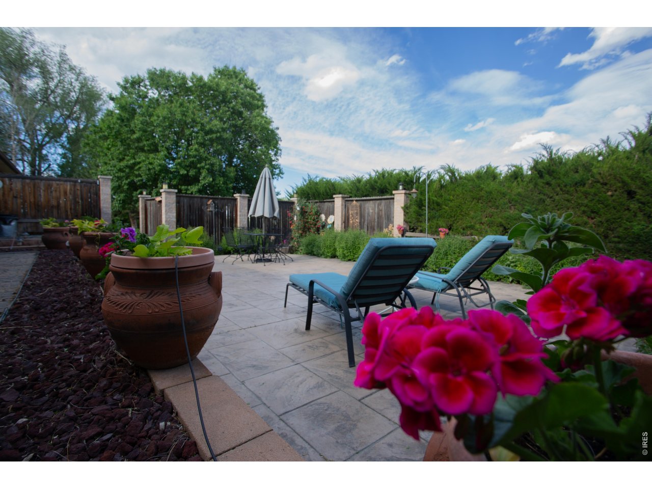 Property Photo 39 Enjoy the privacy created by the super landscaping!