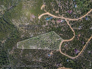 398 Overland Dr Ward, CO 80481