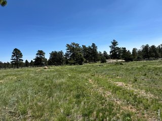 62 White Slide Mountain Ct Livermore, CO 80536