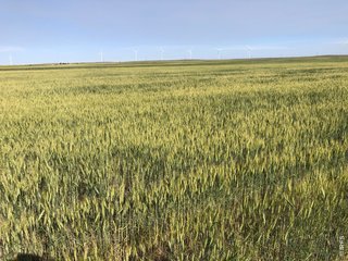 0 WCR 105 Grover, CO 80729