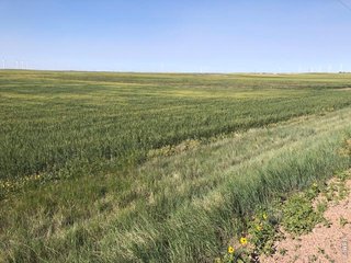 0 CR 70 Briggsdale, CO 80611