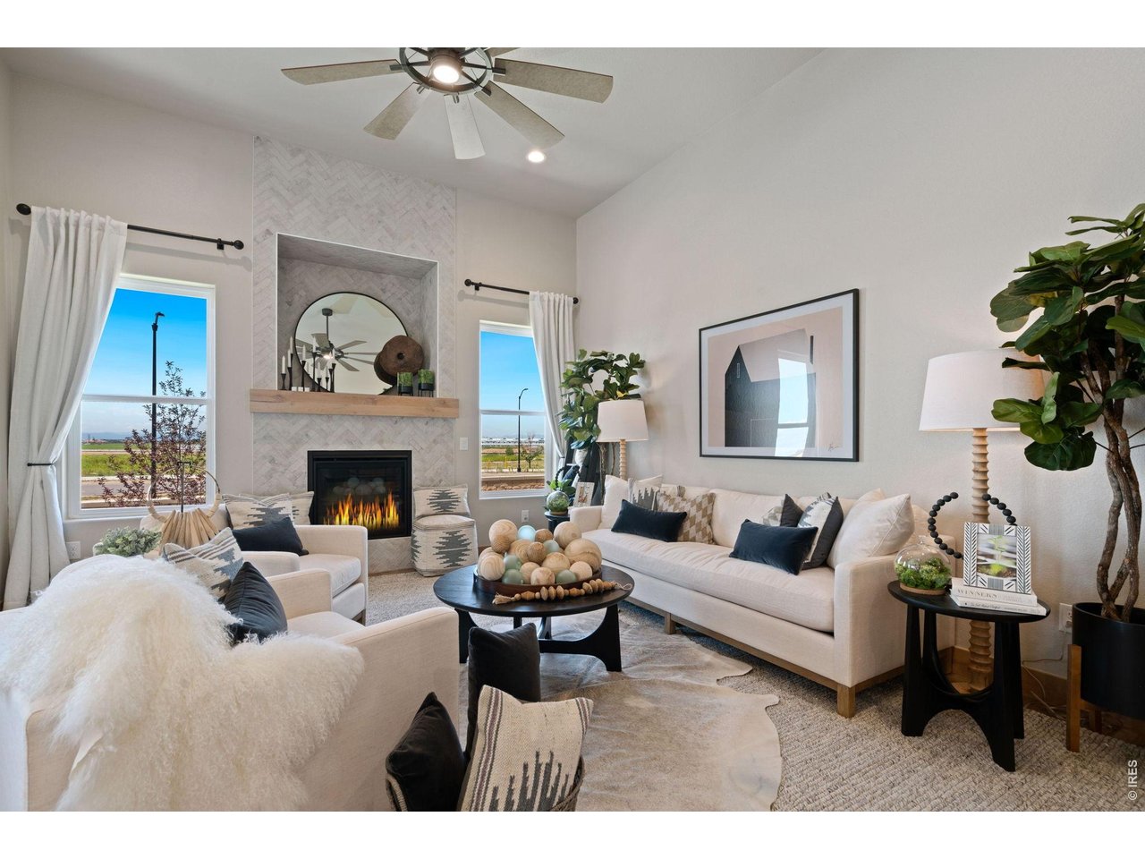 Gas Fireplace