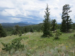 0 Peak to Peak Hwy Nederland, CO 80466
