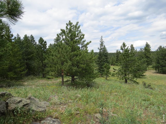 Property Photo 5 looking to the north from the Southern boundary