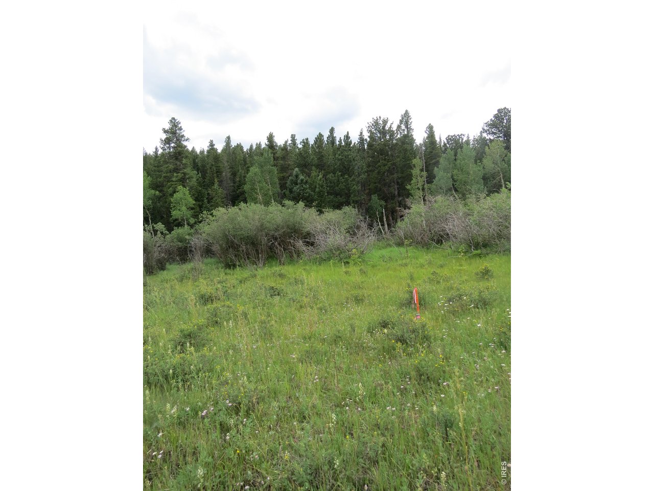 Where original cabin was located, picture of NW survey pin
