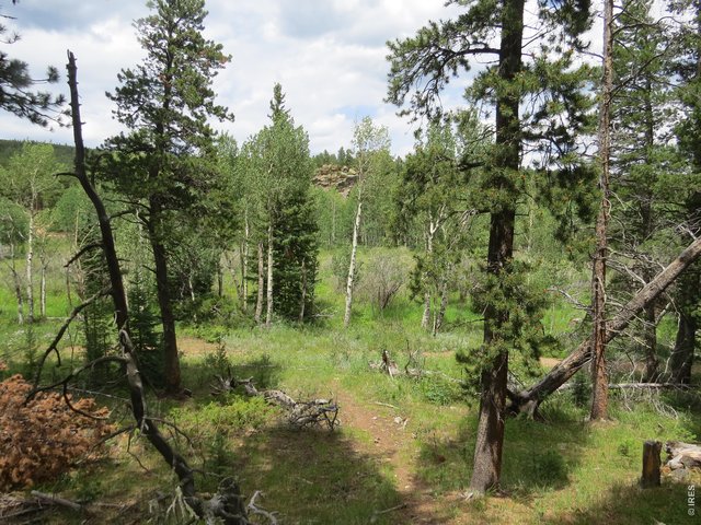 Property Photo 11 