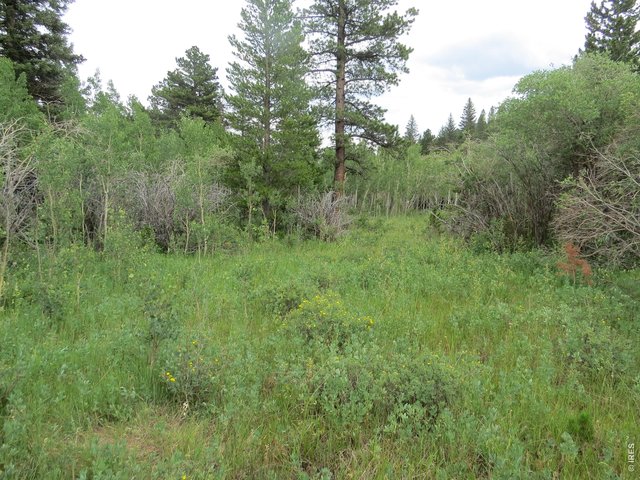 Property Photo 13 