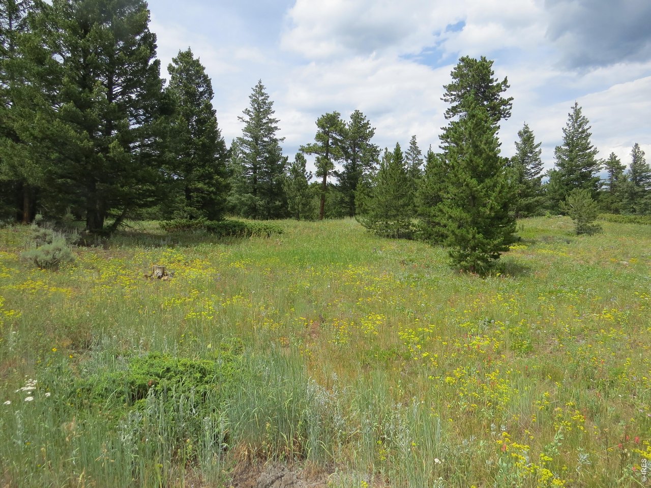 More views looking from the property.