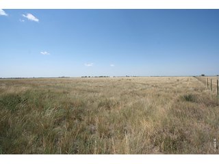 0 County Road 4 Wiggins, CO 80654