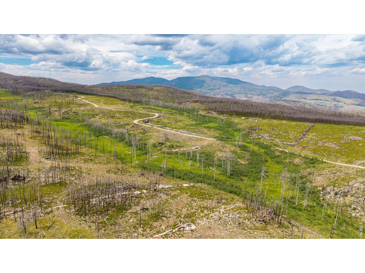 529 Quartz Rd, Bellvue, CO 80512 - Vacant Land/Lots Property For Sale ...