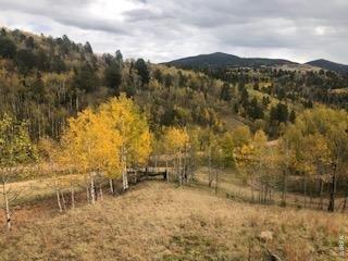499 Granite Ln Cripple Creek, CO 80813