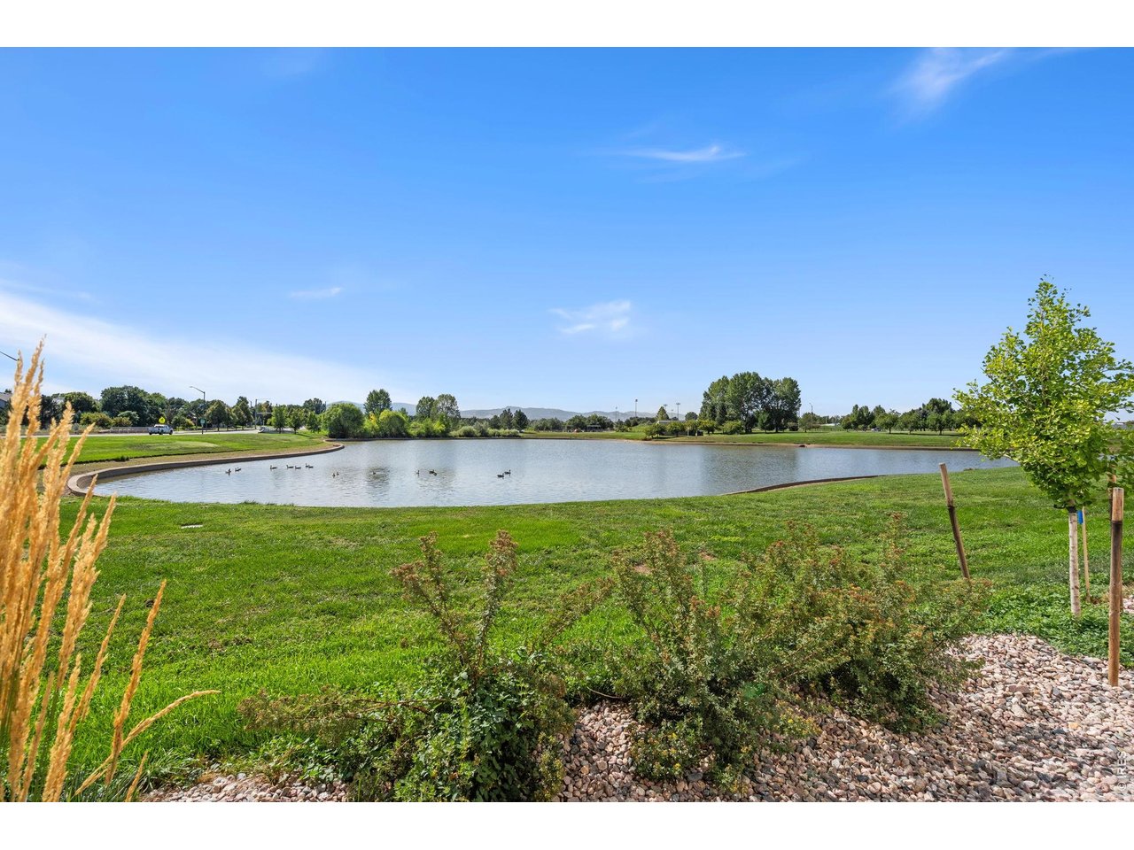 This could be your next door neighbor!