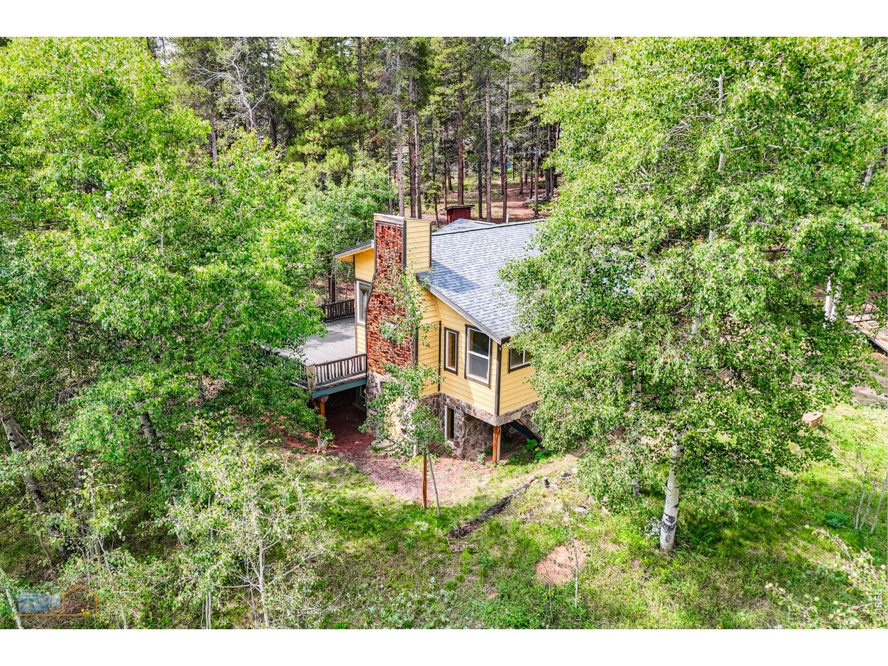 natural light and trees
