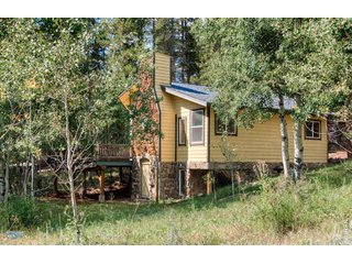 423 Mountain Meadows Dr Black Hawk, CO 80422
