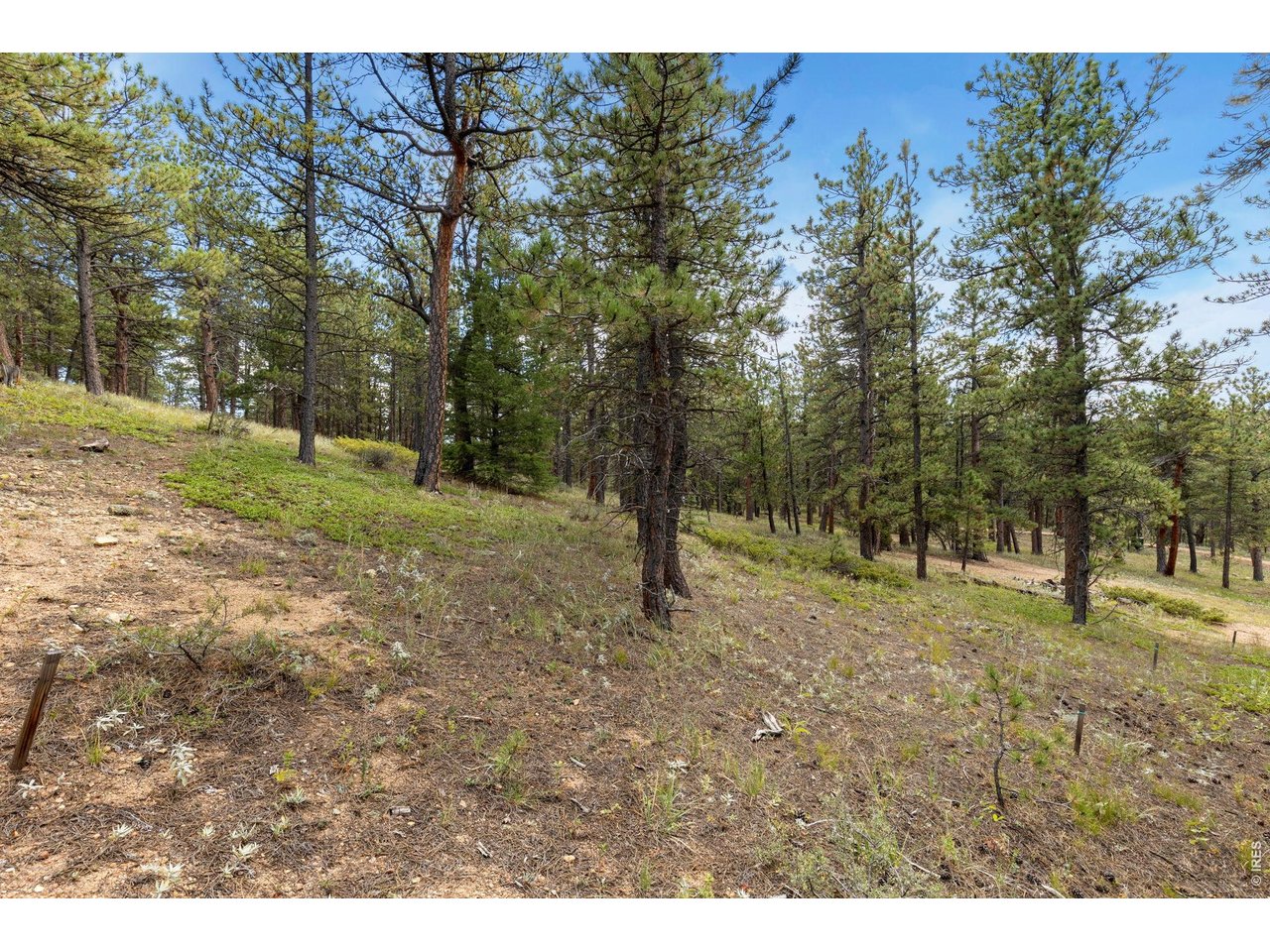 Property Photo 9 