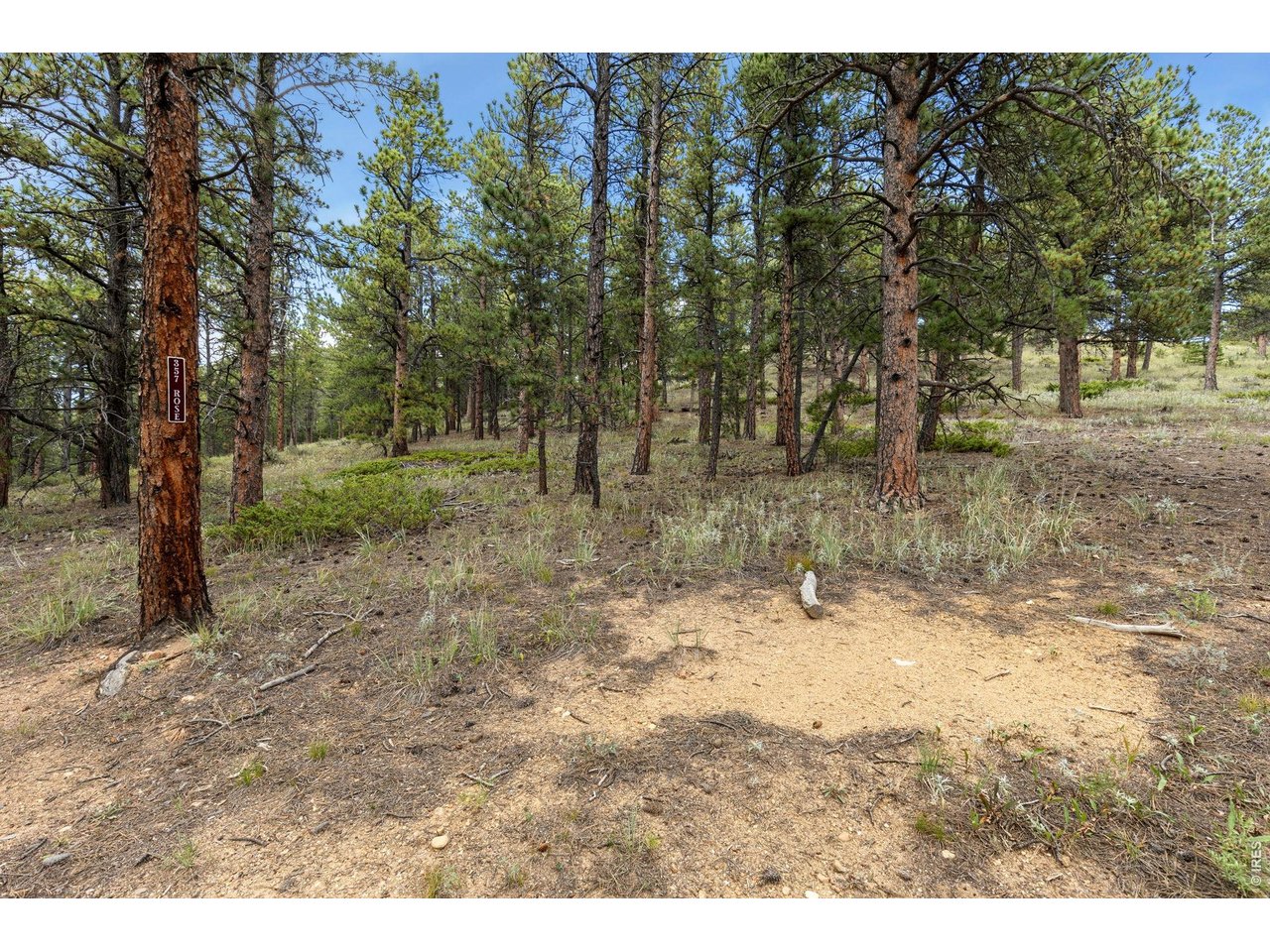 Property Photo 13 