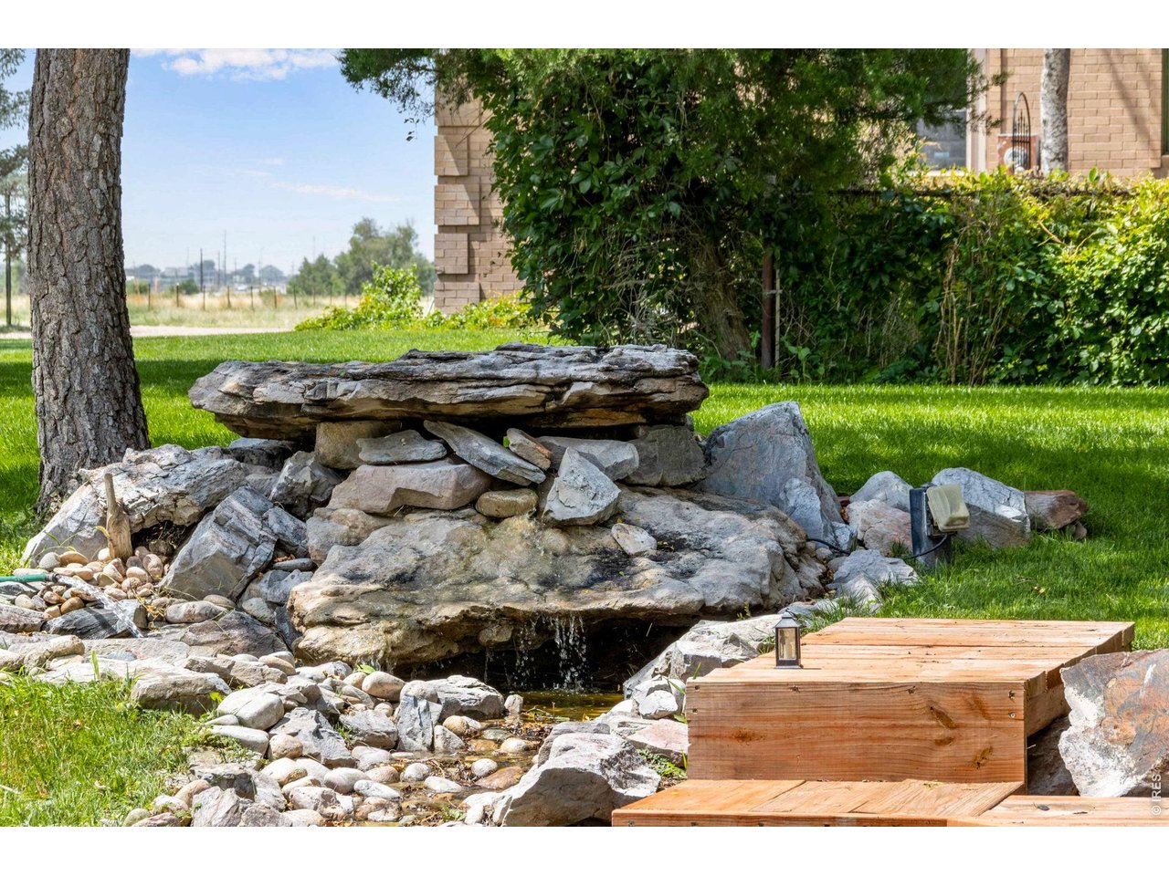 Water feature in backyard 