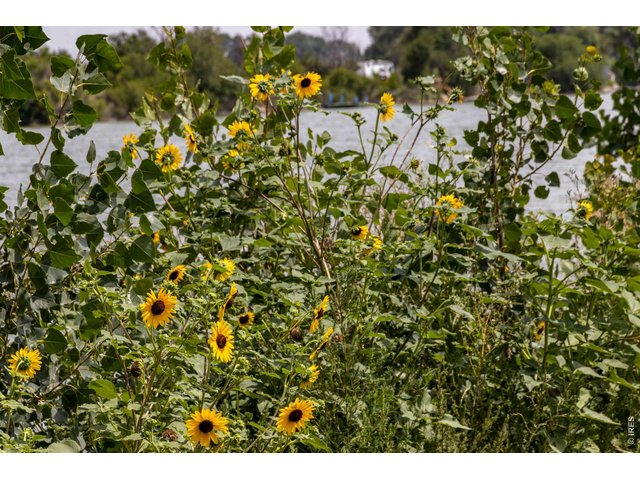 Property Photo 46 