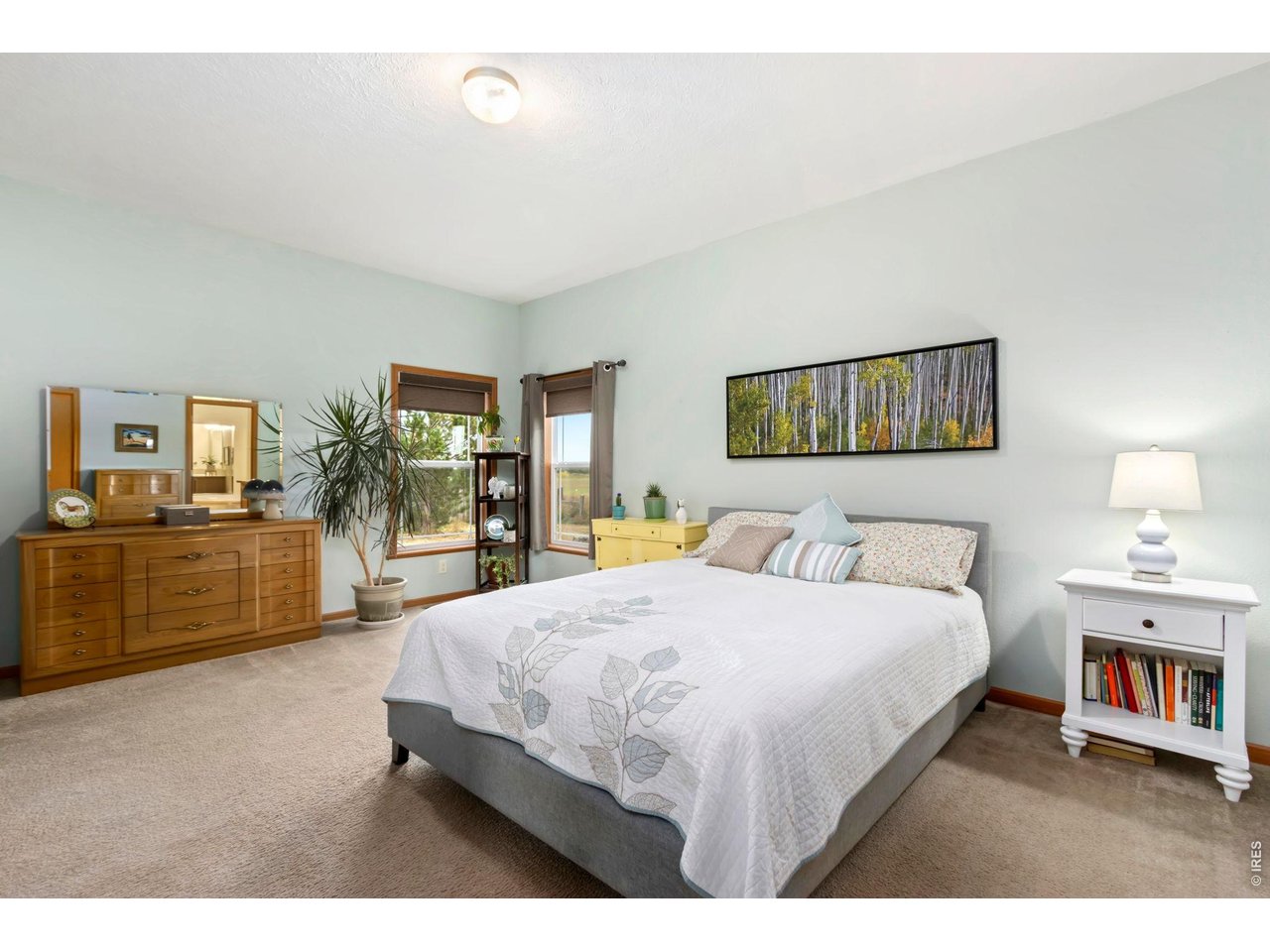 Large Primary Suite