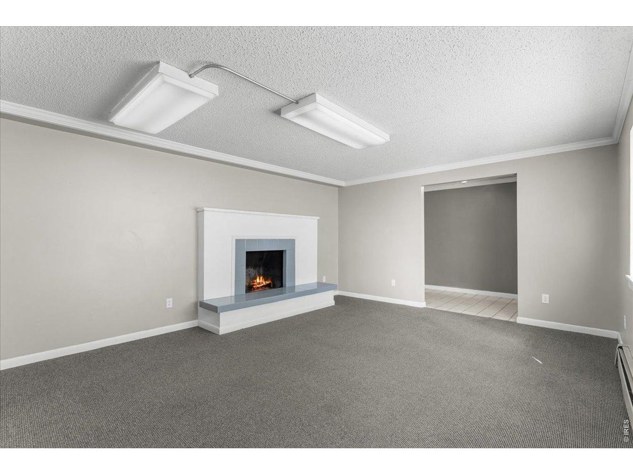 Basement Flex/GR