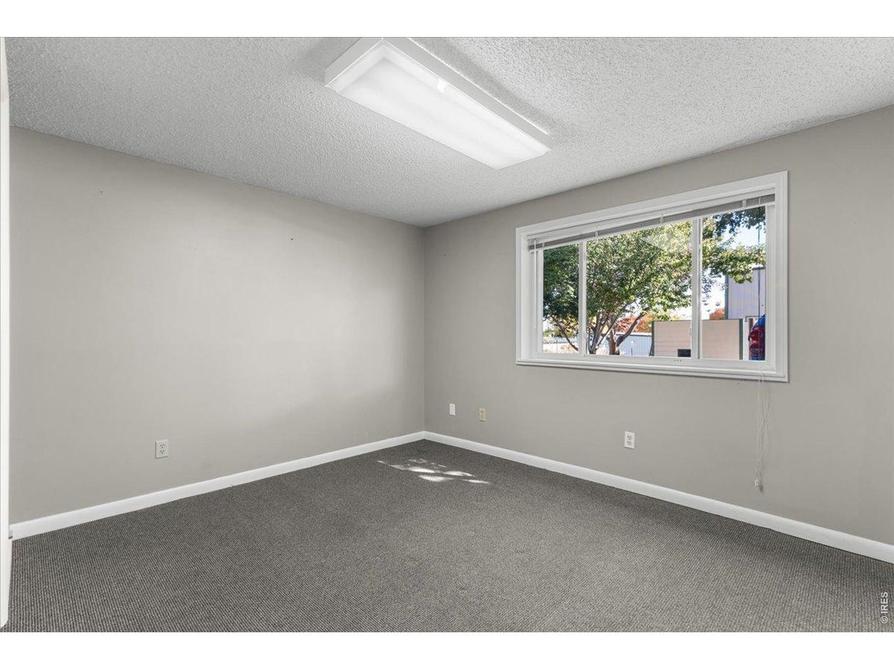Basement office