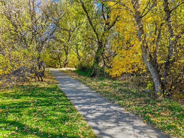 Property Photo 30 LOBO trail passes right through Robinson Place and is just out the front door of the home. 