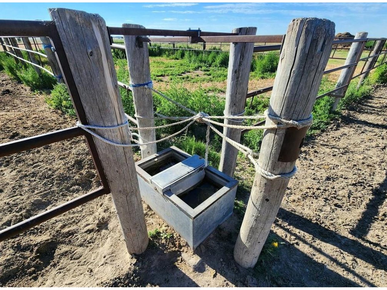 Central watering tank