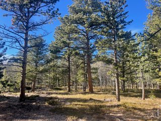 399 N Skinner Rd Allenspark, CO 80510