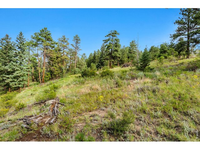 Property Photo 36 