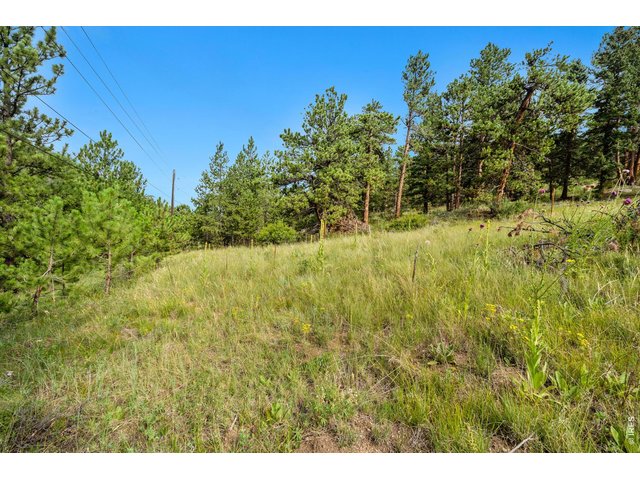 Property Photo 41 