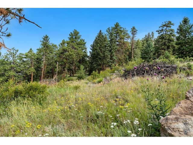 Property Photo 39 