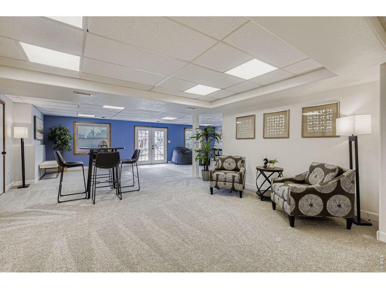Family Room - Walkout Basement