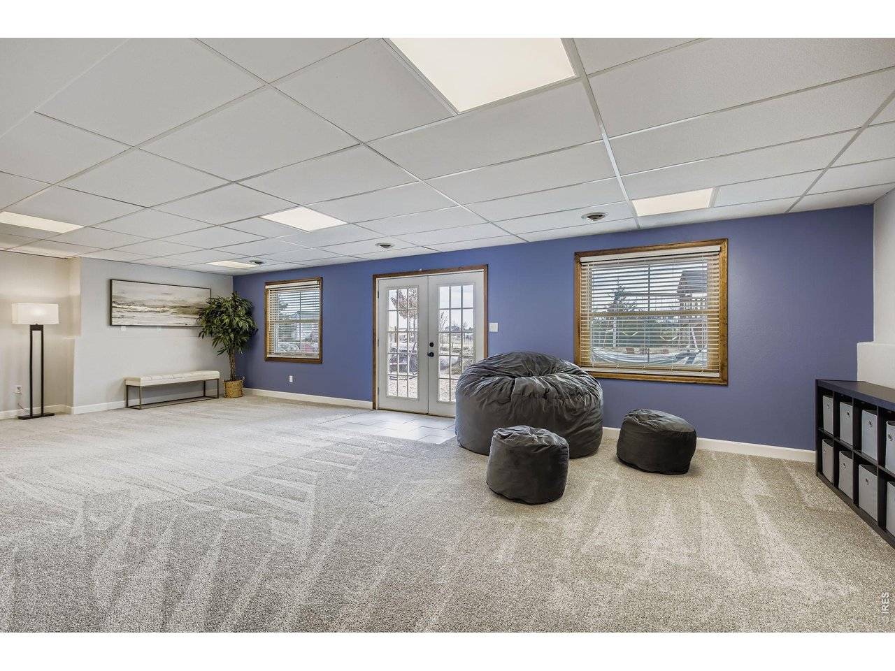 Family Room - Walkout Basement