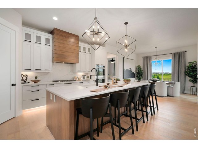 Property Photo 11 Walk-in Pantry. Gas Range and Shiplap Hood